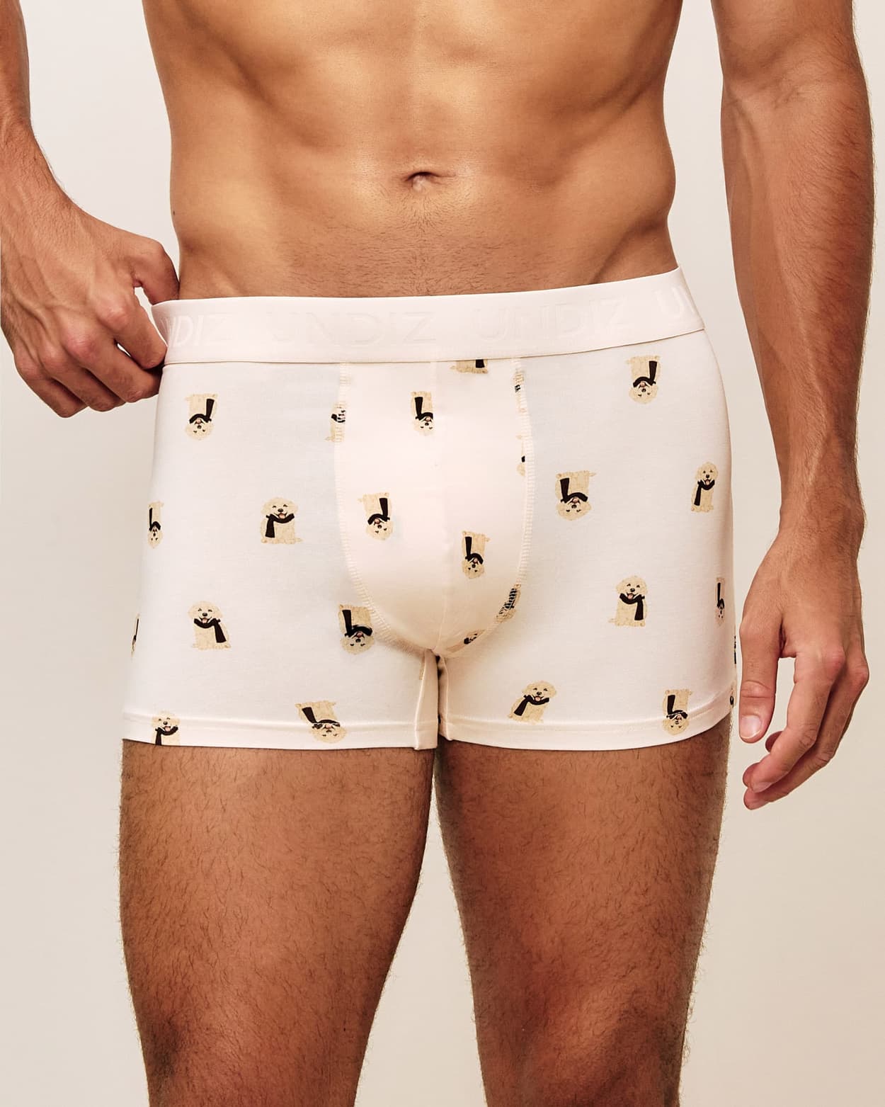 Boxer de algodón impreso de perro - XL - Undiz