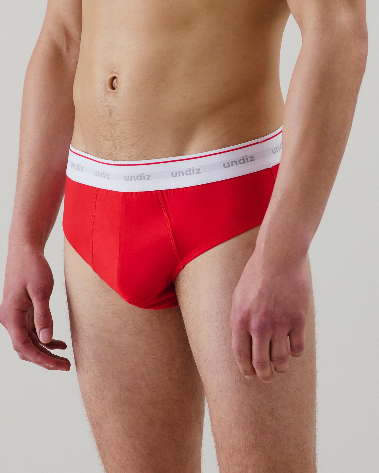 Slip en coton - Rouge - L - Undiz