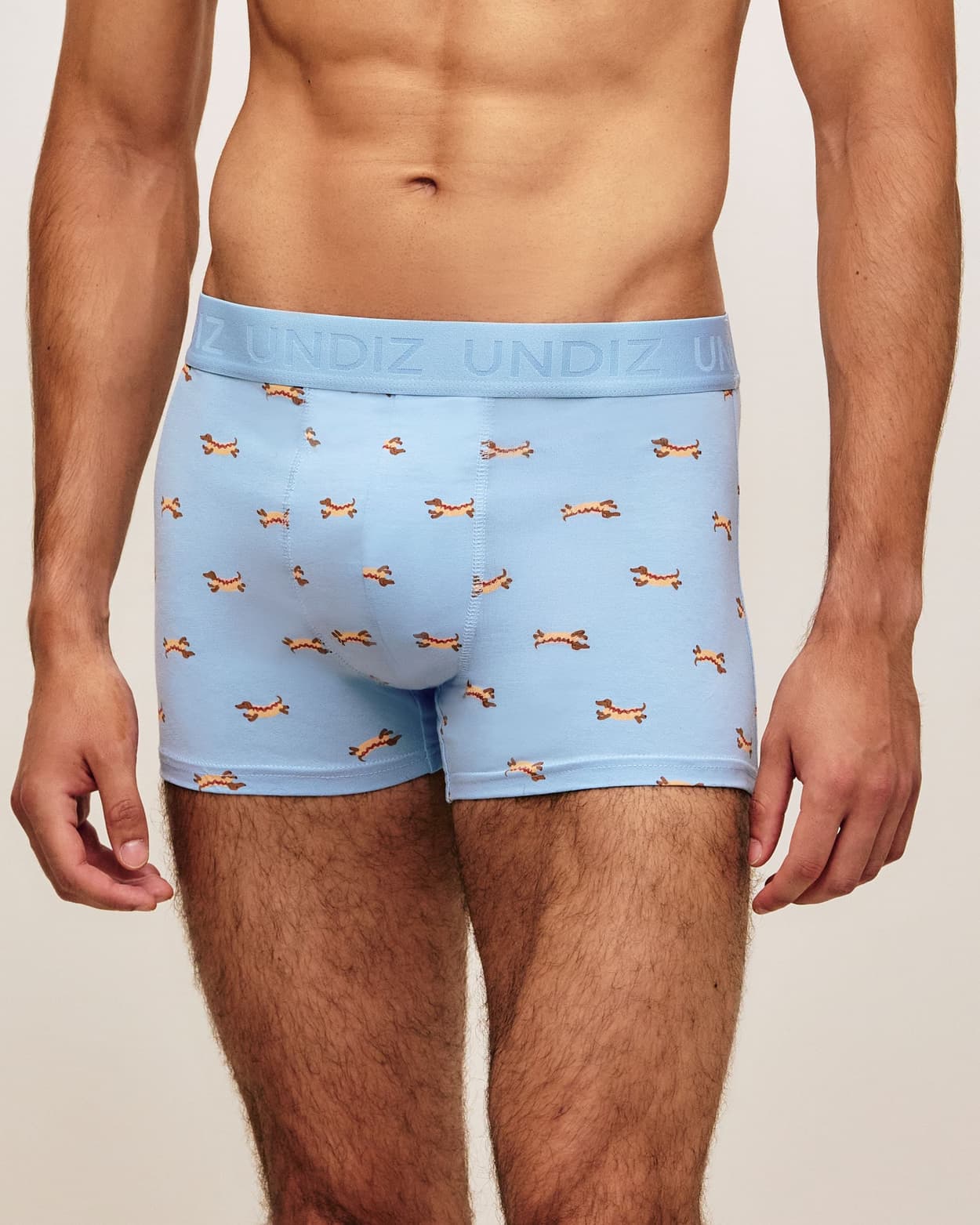 Boxers de algodón impresos con teckels - M - Undiz